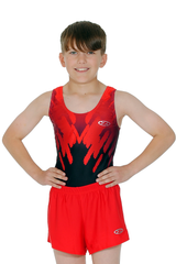 Blizzard Boys/Mens Sublimated Print Leotard